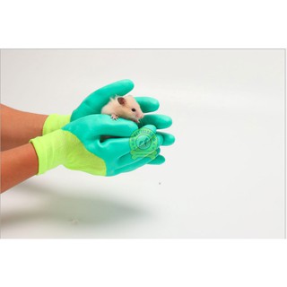 small pet animal Hamster anti-bite gloves / training pet gloves / training anti-bite gloves hand