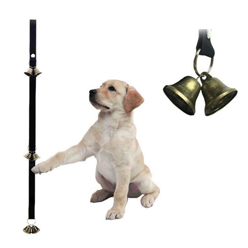 dog toilet bell