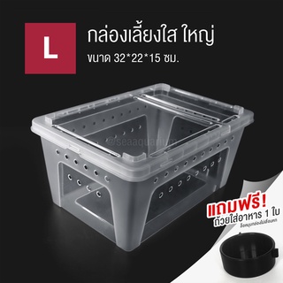 Crawling Pet Box Turtle Frog Gecko Snake Transparent Animal Box. There Are Holes Around The #1