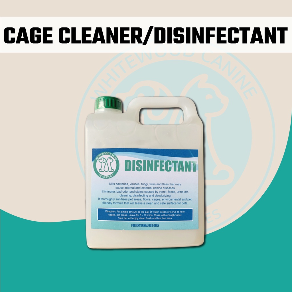 Does Lysol Kill Dog Lice