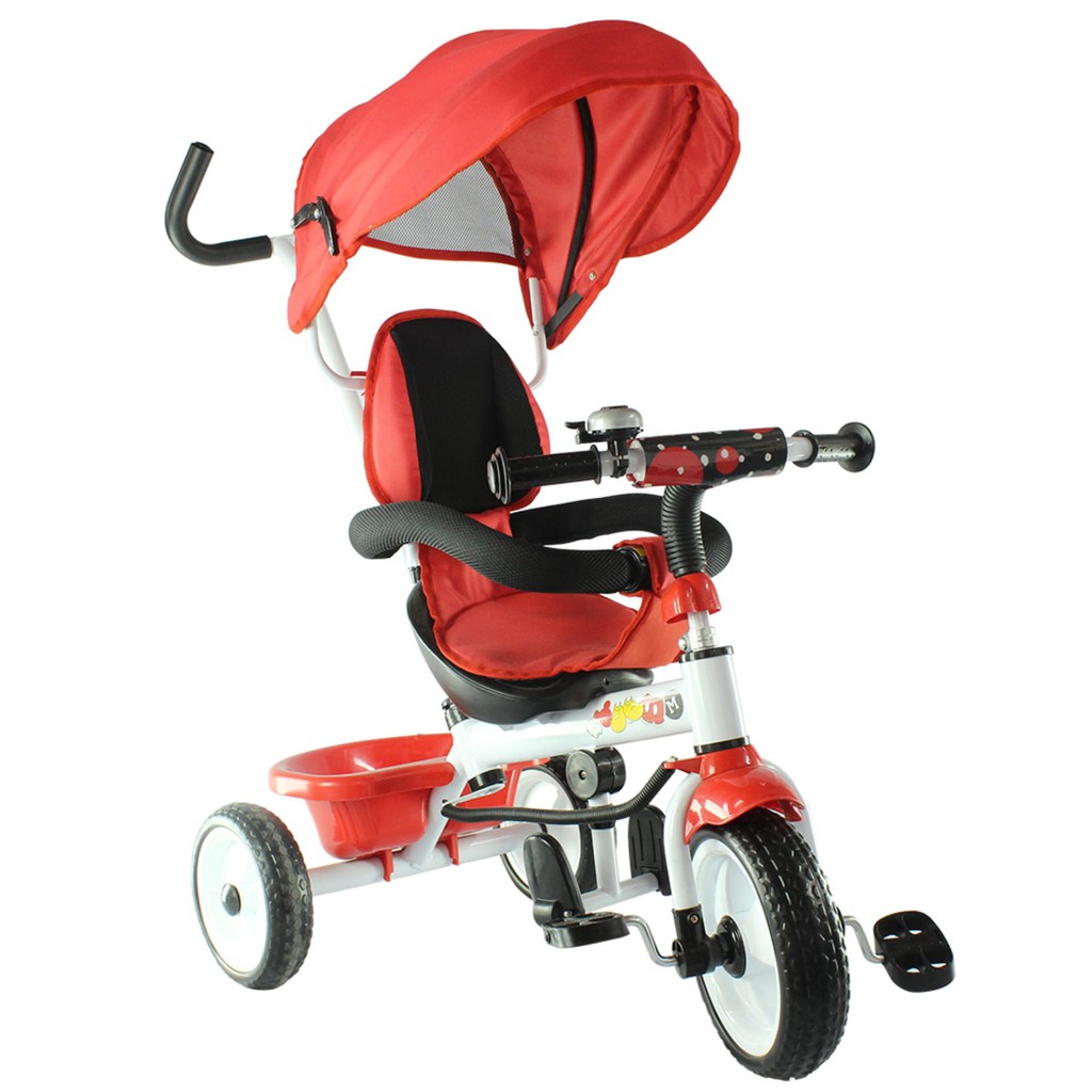mickey trike