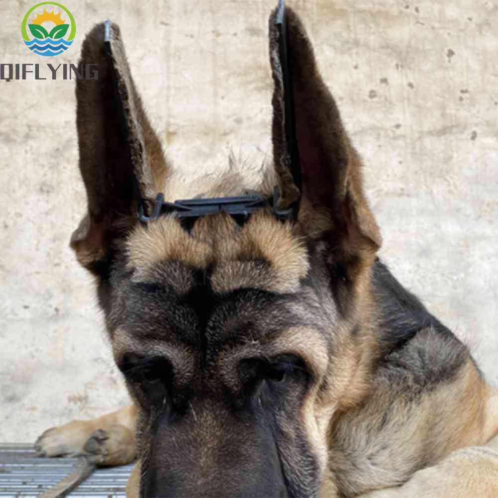 Dog Ear Stand Corrector Ear Care Tool Ear Stand Up Tool for Doberman Pinsch #4