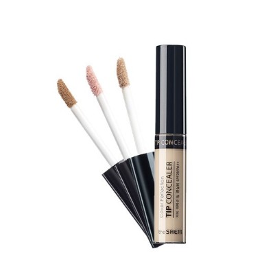 the saem cover perfection tip concealer