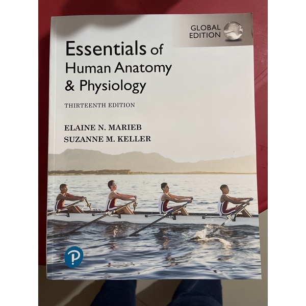 Essentials Of Human Anatomy & Physiology By Marieb 12th & 13th Edition ...