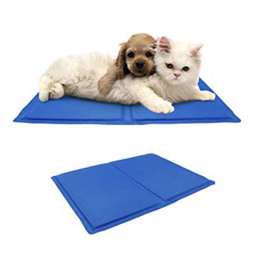 chilly pad for dogs