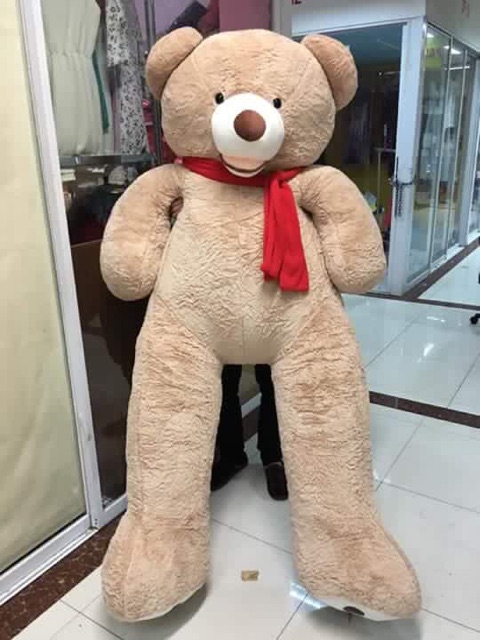 blue magic teddy bear human size price