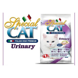 special food for cats with urinary problems