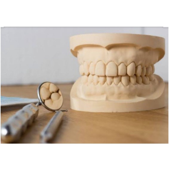 Dentulous/ Edentulous Cast ( Upper and Lower ) Shopee Philippines