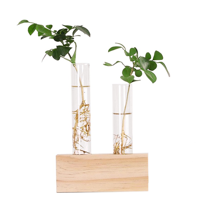 Crystal Glass Test Tube Vase Flowers Plants Hydroponic Plant