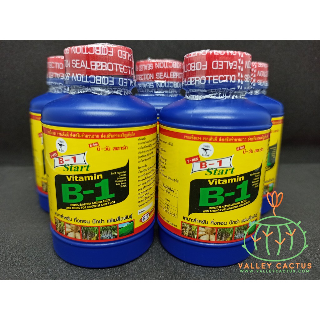 Vitamin B1 with Humic and Alpha Amino Acid Cactus Plant Growth Rooting