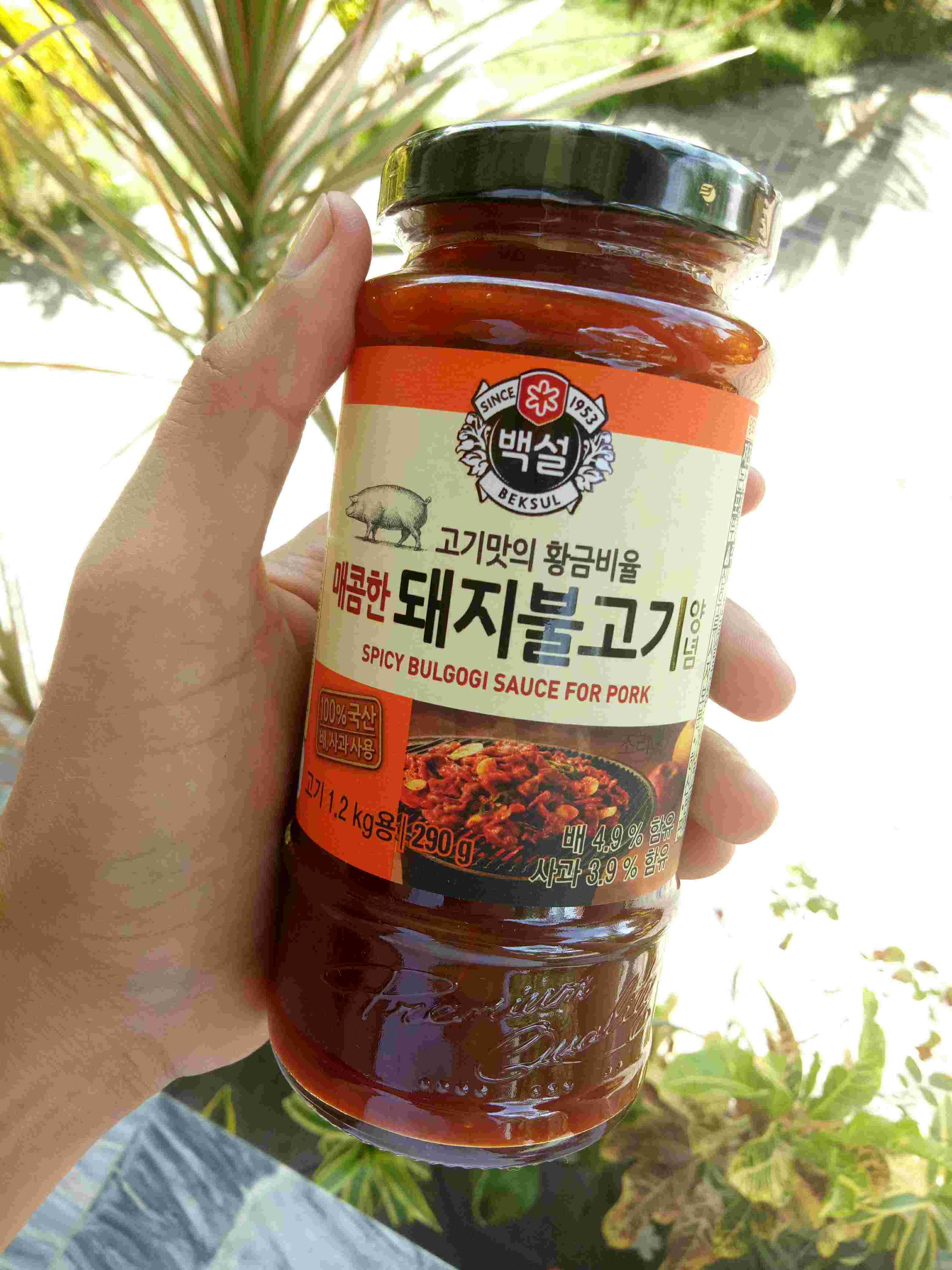 CJ Beksul Korean BBQ Samgyupsal Sauce Spicy Bulgogi For ...