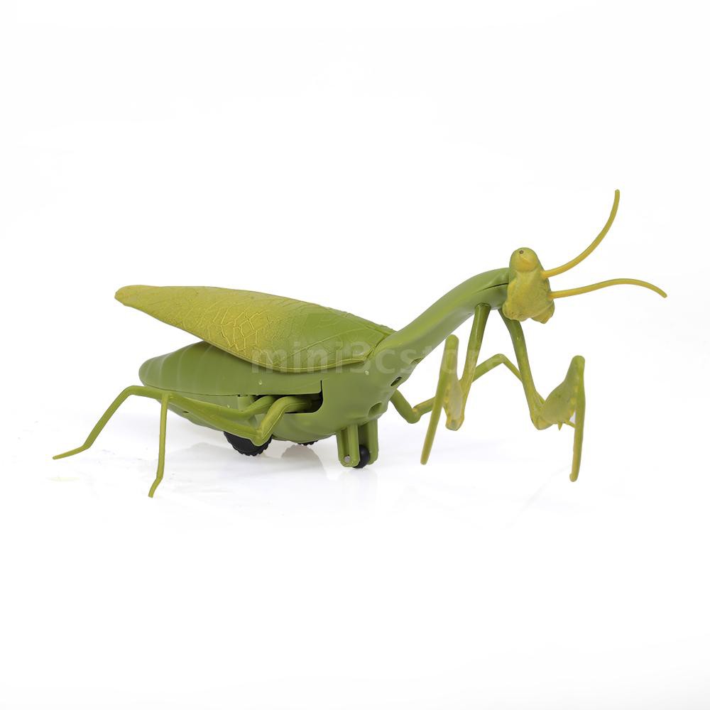 mantis toy