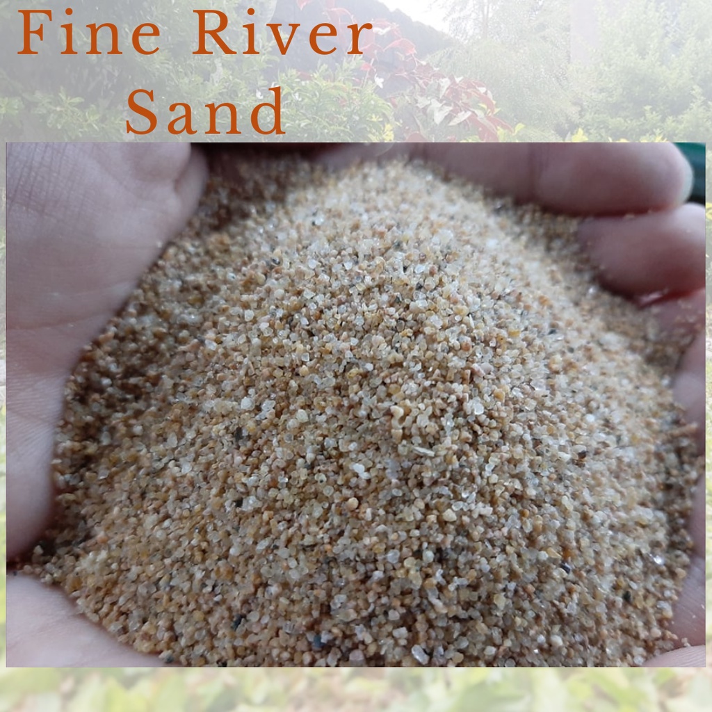 Fine River Sand For Aquarium Set Up / Terrarium 1 kilo | Shopee Philippines