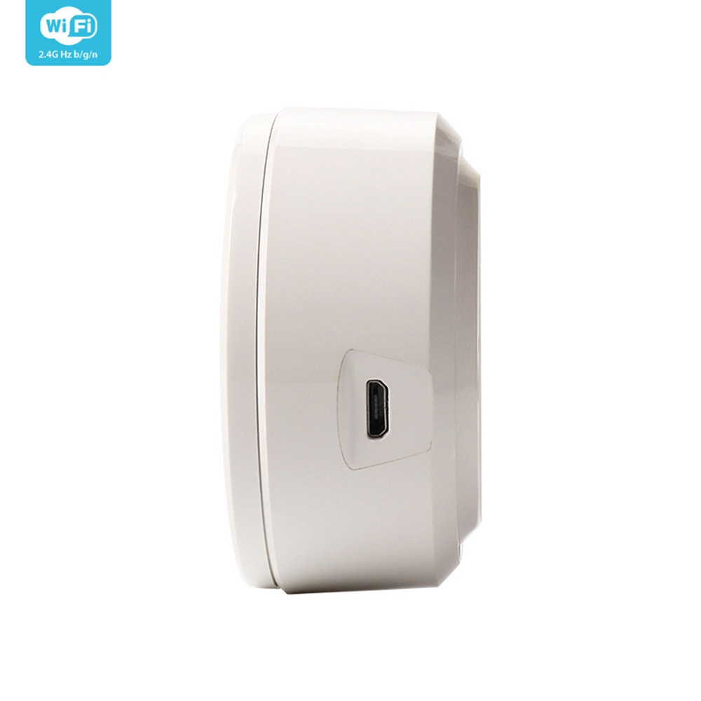 wifi thermometer google home