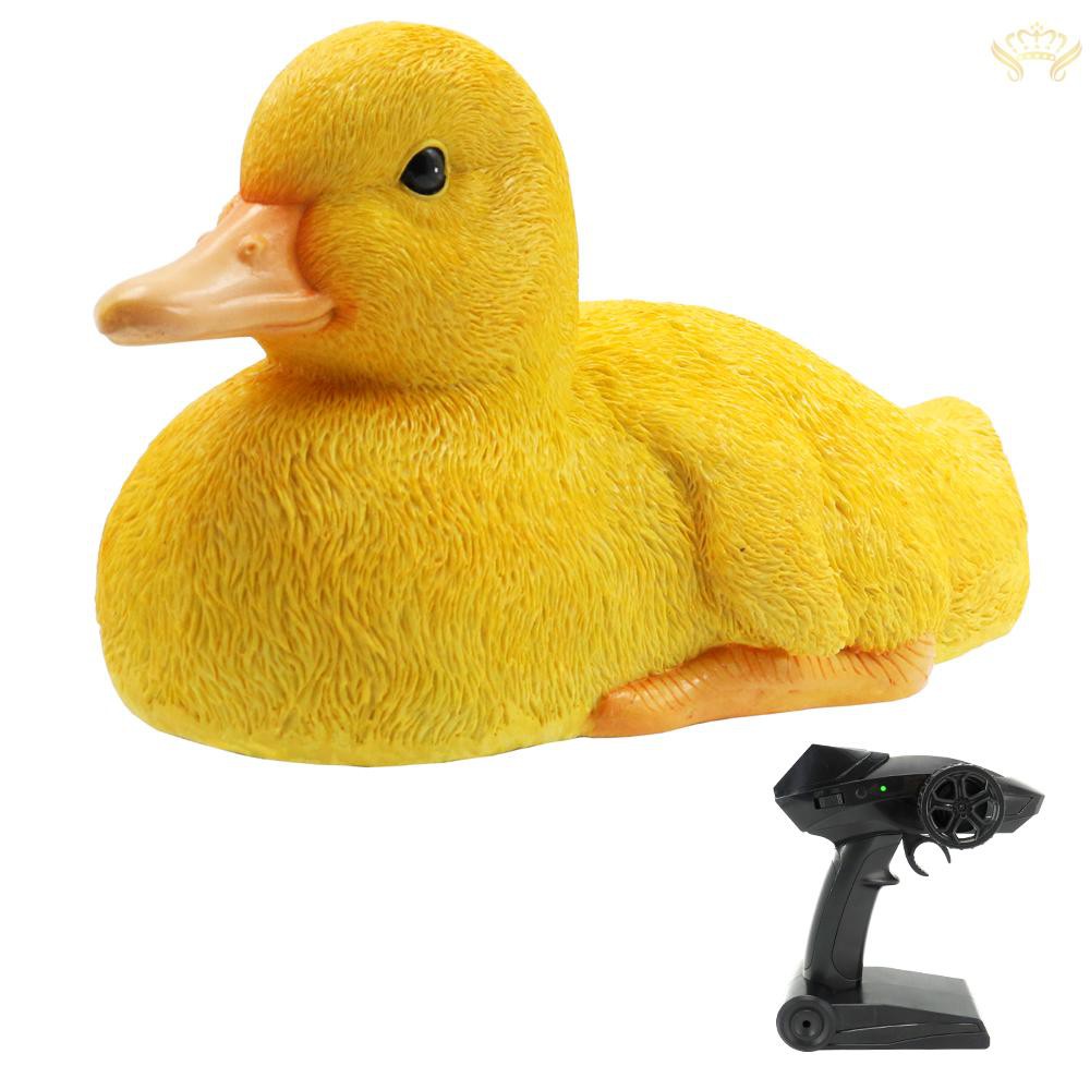 remote control duck boat