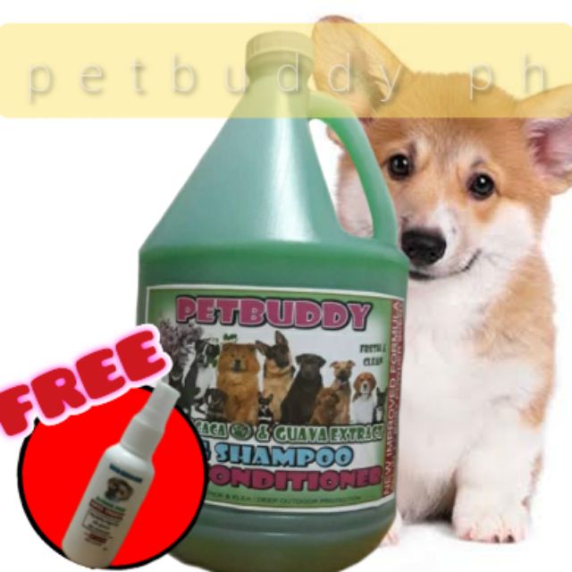 dog-shampoo-with-conditioner-formula-petbuddyph-shopee-philippines