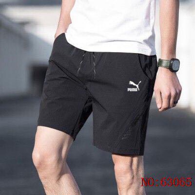 puma dri fit shorts