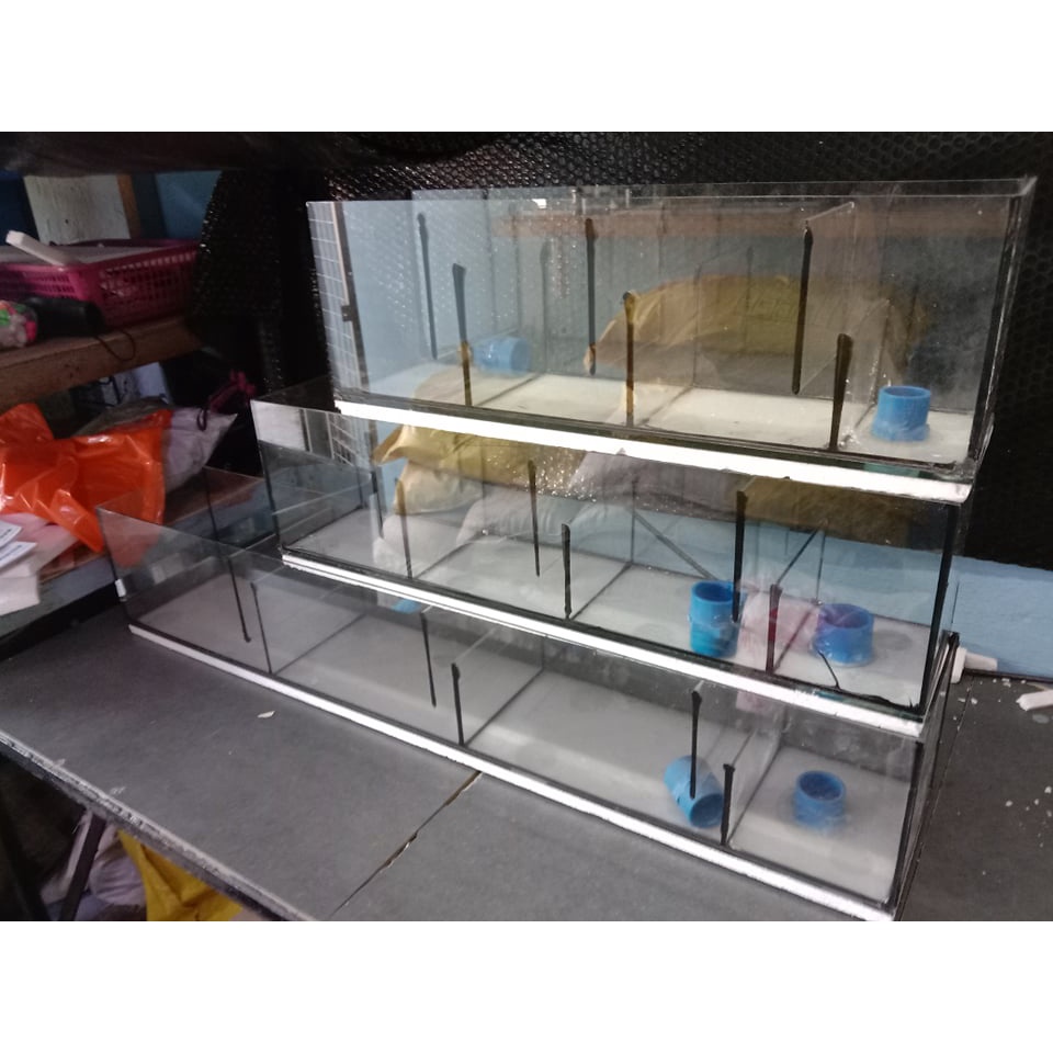 Overhead sump aquarium fish tank filter over head #1