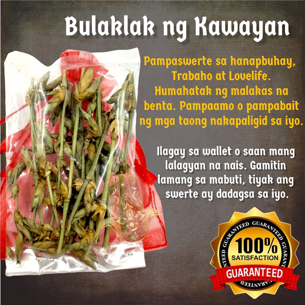 BULAKLAK NG KAWAYAN LUCKY CHARM, Swerte sa anumang klase ng Negosyo,  Career, Lovelife Pampalakas