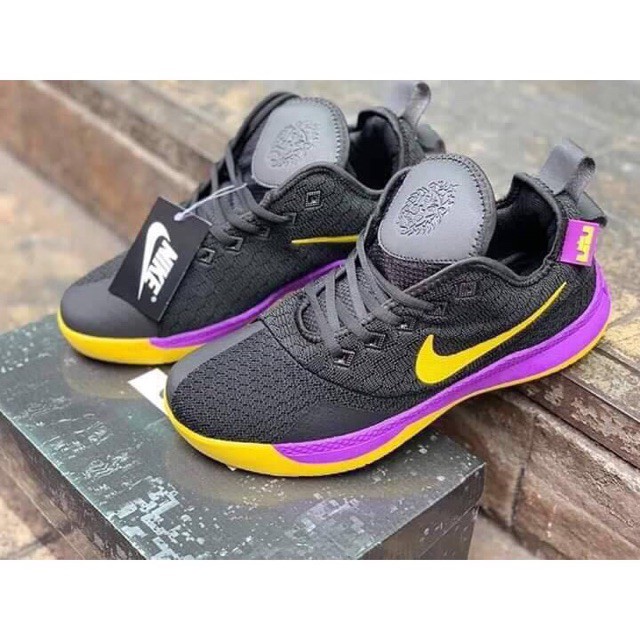 lebron james casual shoes