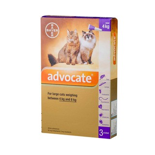 Advocate Cat-obat Flea Cat Drops - Weight 4-8kg - Per Pipette | Shopee ...