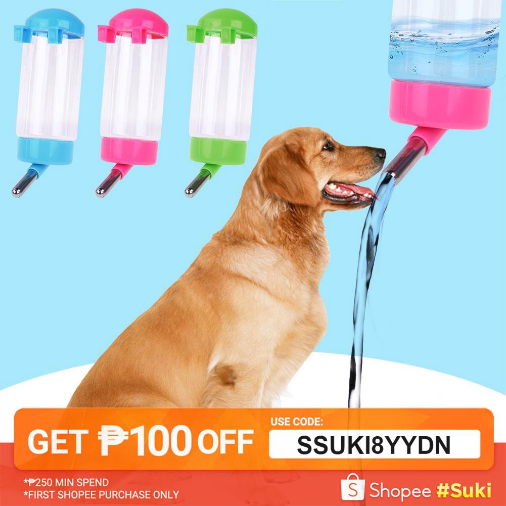 inbred boston terrier