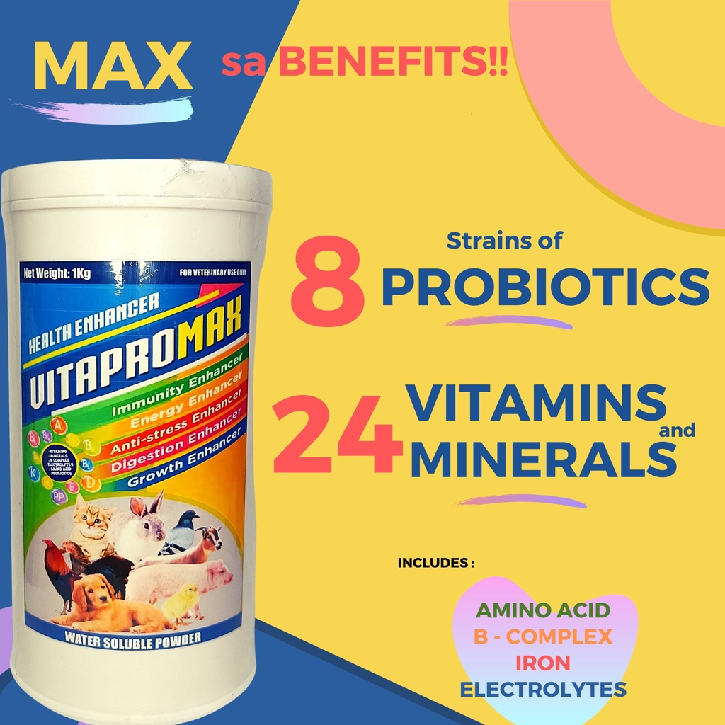VITAPROMAX 8 PROBIOTICS + 24 MULTIVITAMINS AND MINDERALS Shopee