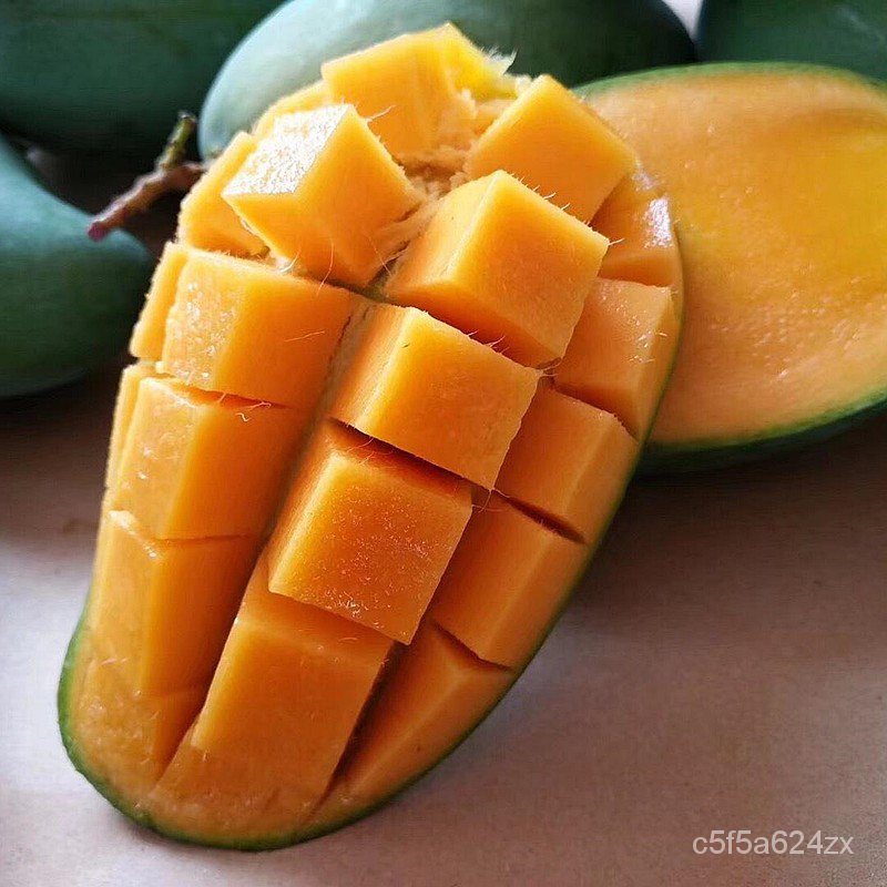 The Mango Tree Fruit Seedling Potted Mango Fruit Seedling South North