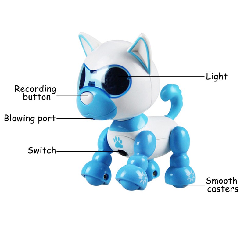 electronic pet dog toy