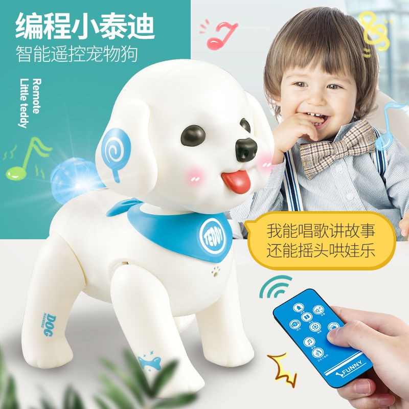 teddy dog robot