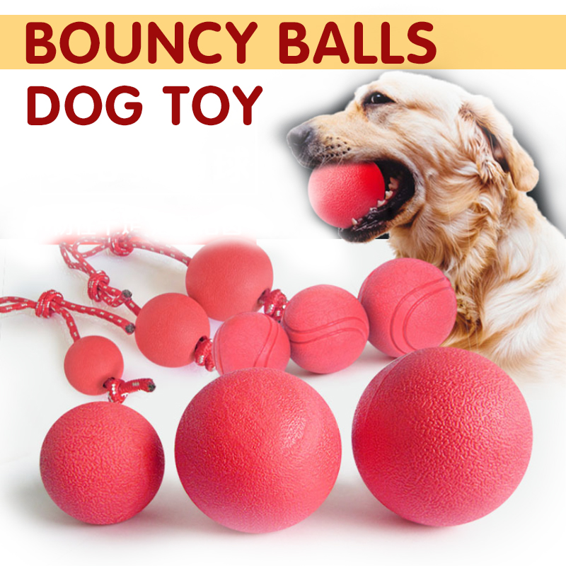 Dog Toy Bouncy Ball Bite Resistant Rope Ball Dog Training Ball Pet Chew Toy for Dog Shopee