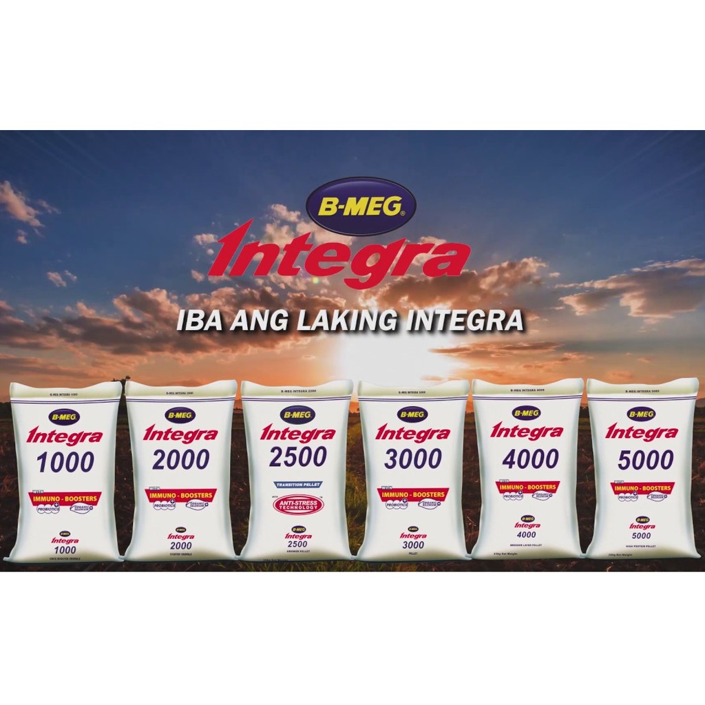 B-MEG Integra Chicken Feeds Repacked (1kg) | Shopee Philippines