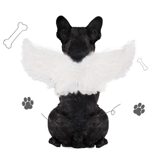 WeeH Pet Halloween Costume Cosplay Angel Devil Black White Wing for Dog Cat Rabbit Piggy - Funny Gift at Halloween Party Anime Theme Birthday Christmas #7