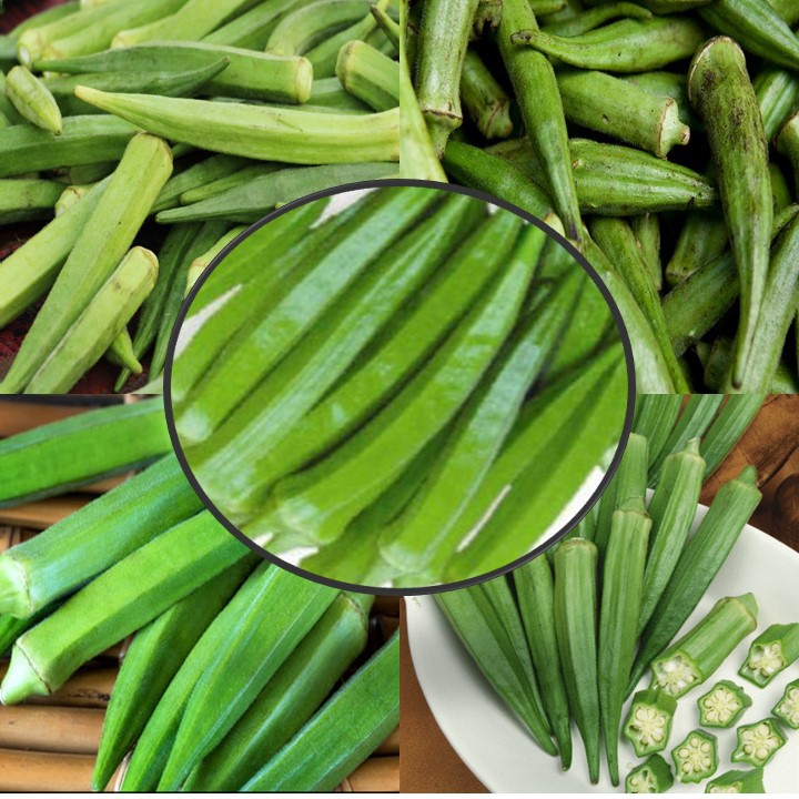 okra / lady finger 20 seeds | Shopee Philippines