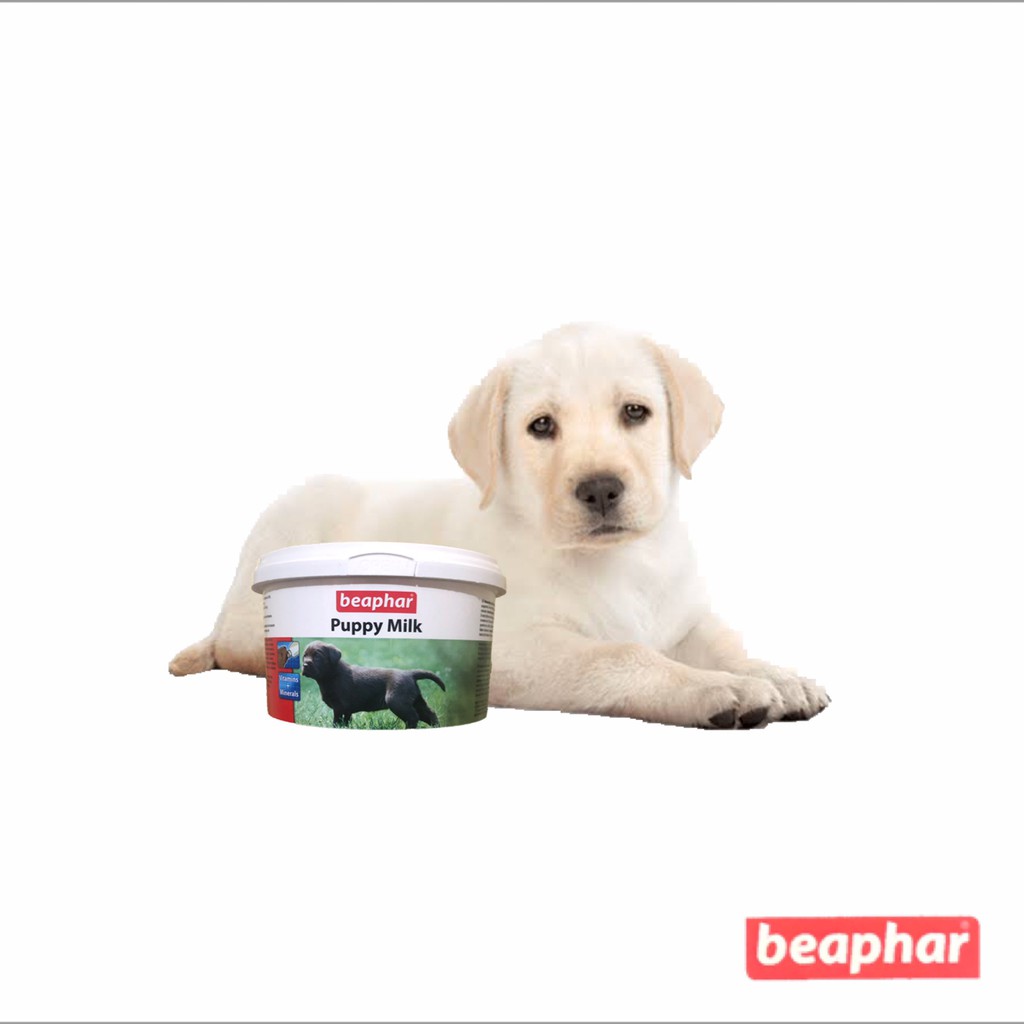 beaphar puppy dental kit