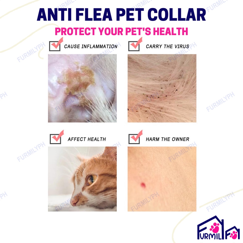 Dog Collar Cat Collar Pet Collar Anti Tick Mite Flea Collar for Pet Kitten Puppy Lasting Protection #3