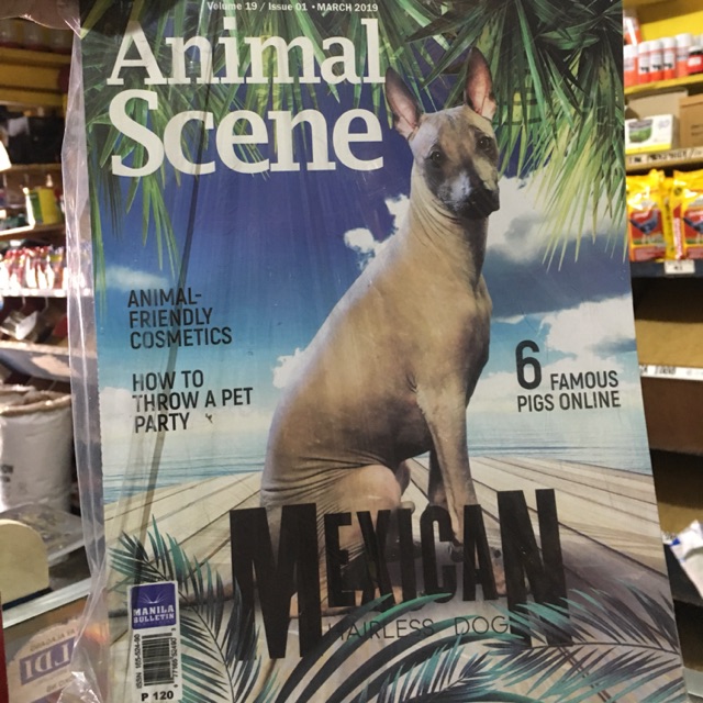 Animal Scene Vol. 19 Issue 01 March 2019 | Shopee Philippines