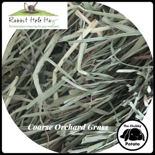 Rabbit Hole Hay - Coarse Orchard Grass (500g repacked)