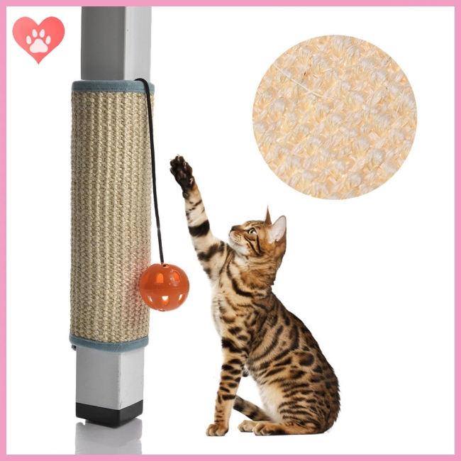 cat scratcher shopee