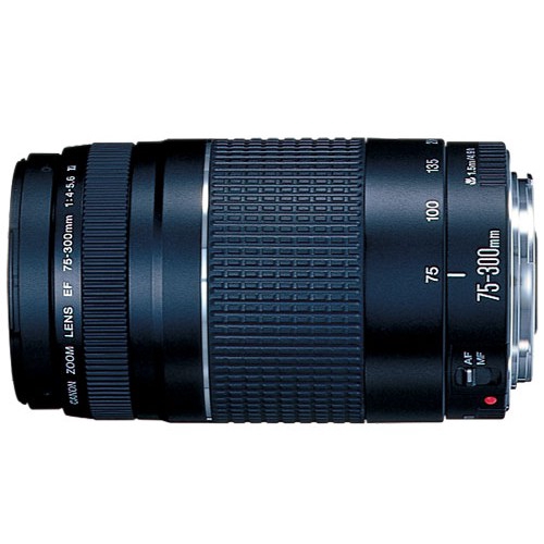 Canon Ef 75 300mm F 4 5 6 Iii Lens Shopee Philippines