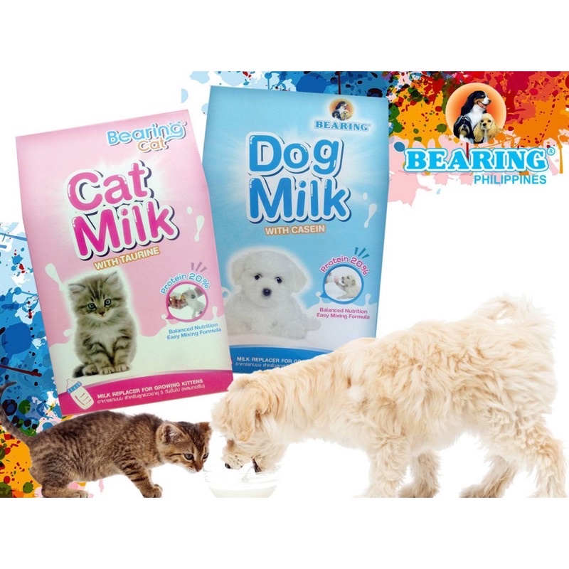 Bearing Cat Milk (Powder 300g) Shopee Philippines