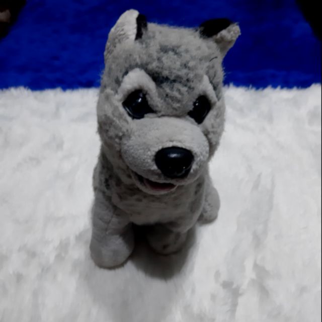 husky stuffed toy blue magic