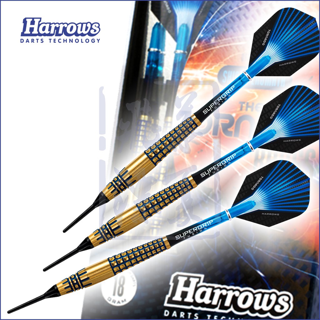 professional darts equipment