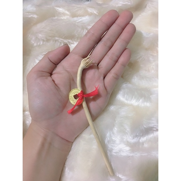 Lucky charm for business tagupaypay with freebie lucky coin. Shopee