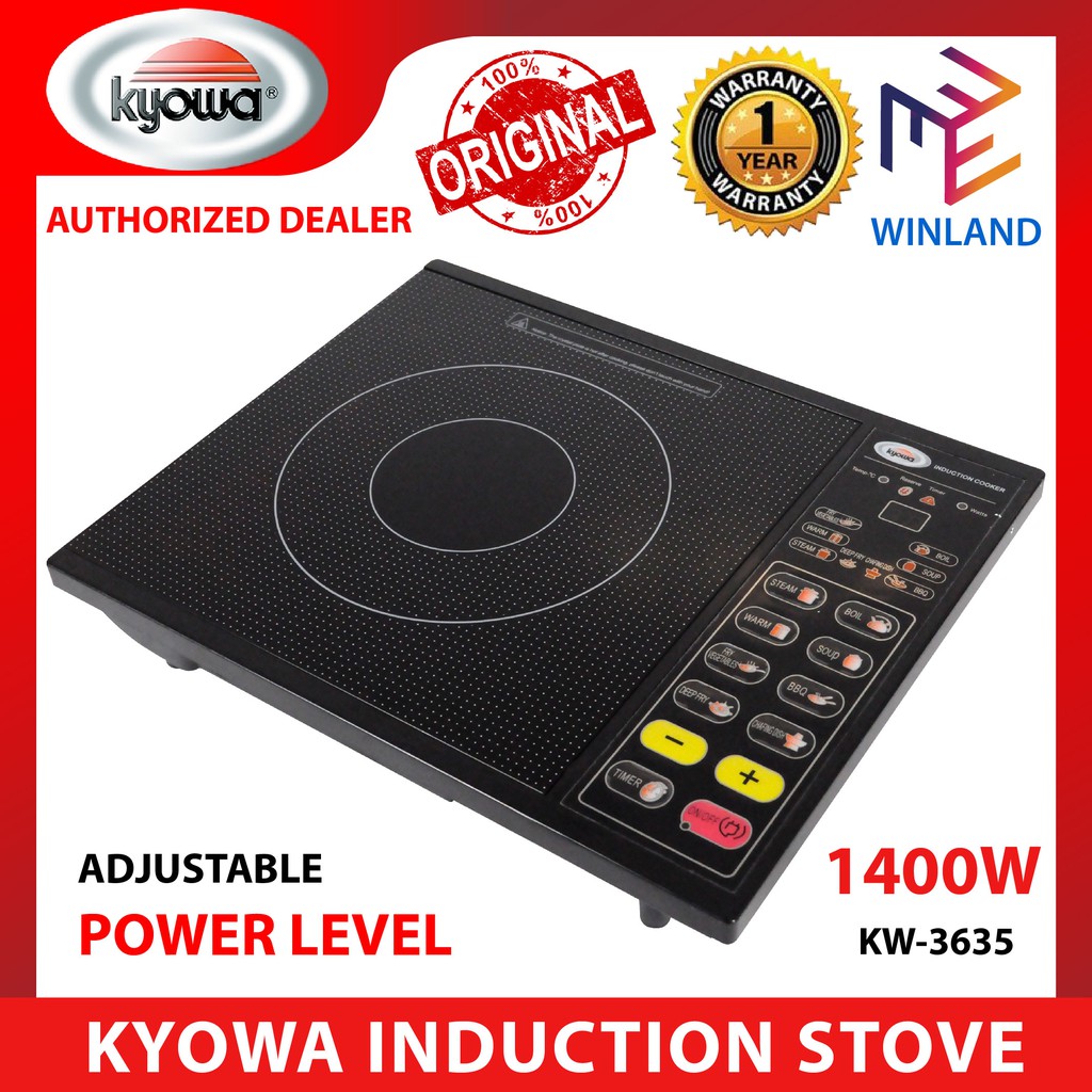 electric induction stove
