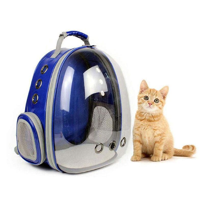 cat bubble backpack