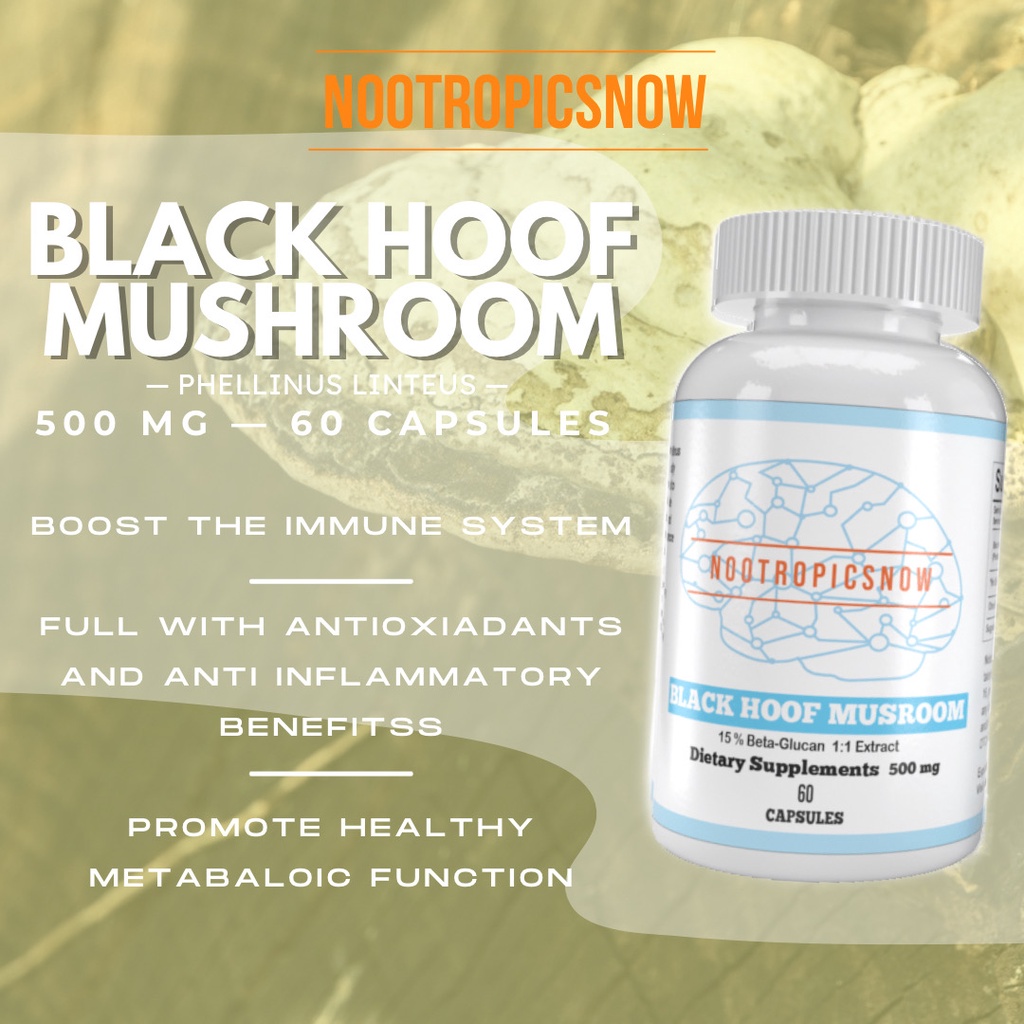 Black Hoof Mushroom Capsules