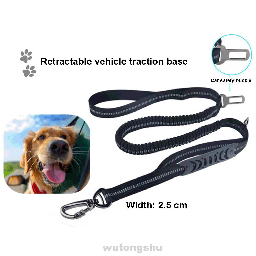 metal dog seat belt