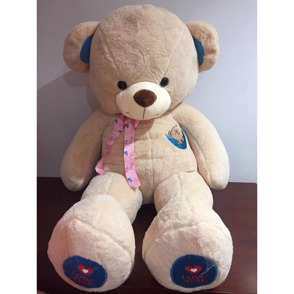 korean teddy