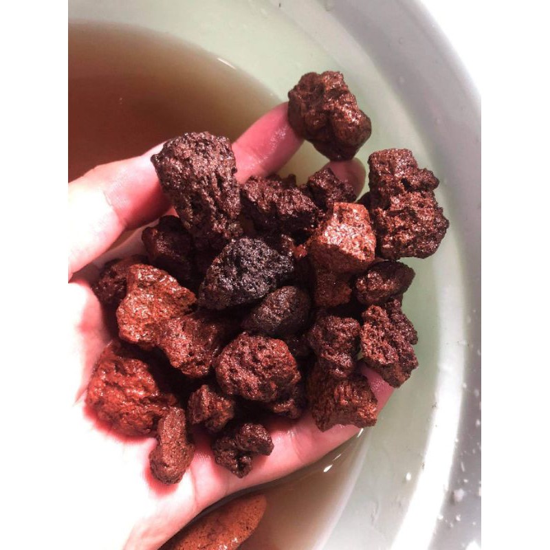 Lava Rock Biological Filter 1kg Shopee Philippines